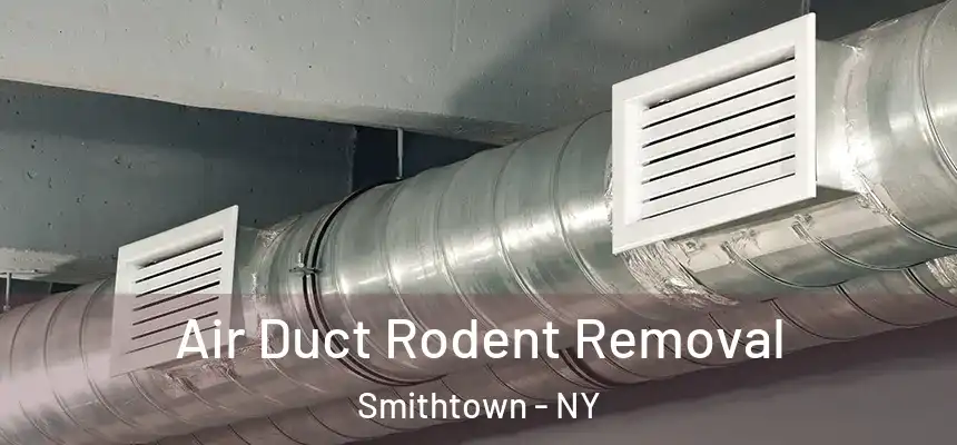  Air Duct Rodent Removal Smithtown - NY