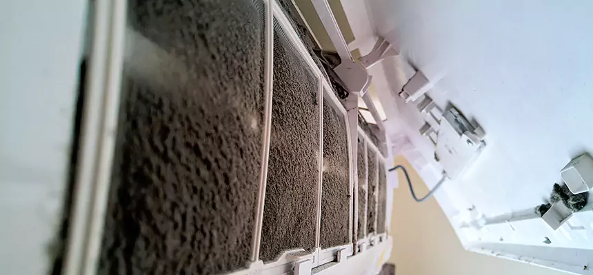 Preventive Air Duct Bacteria Removal in Smithtown