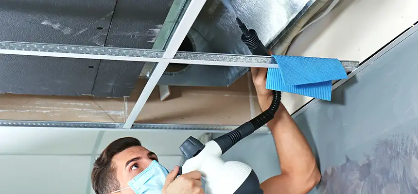 Our Air Duct Rodent Removal Services in Smithtown, NY