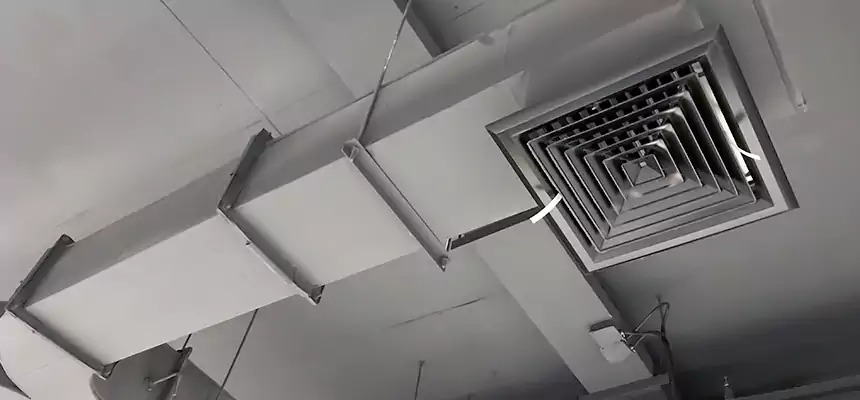 Restorative Allergy Relief Vent Cleaning – Coil, Blower & Housing Detail in Smithtown