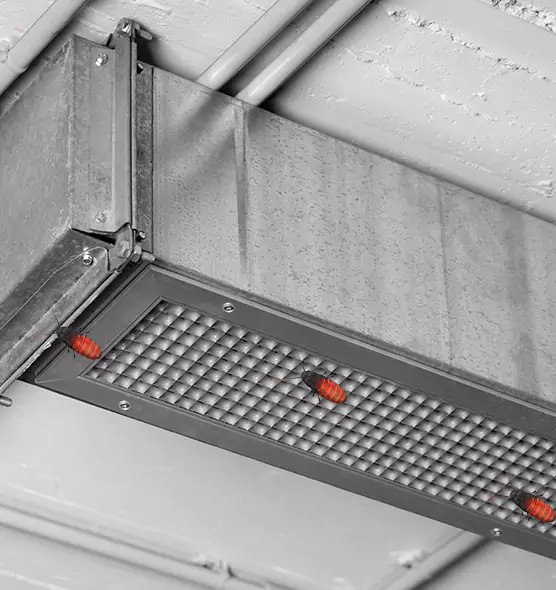 About Air Duct Cockroach Removal in Smithtown, NY