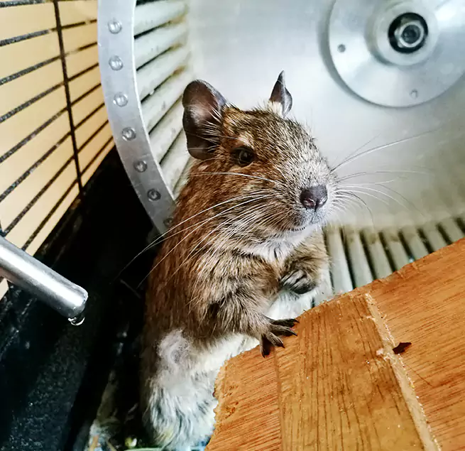 Why Homeowners & Businesses Trust Us Smithtown, NY?