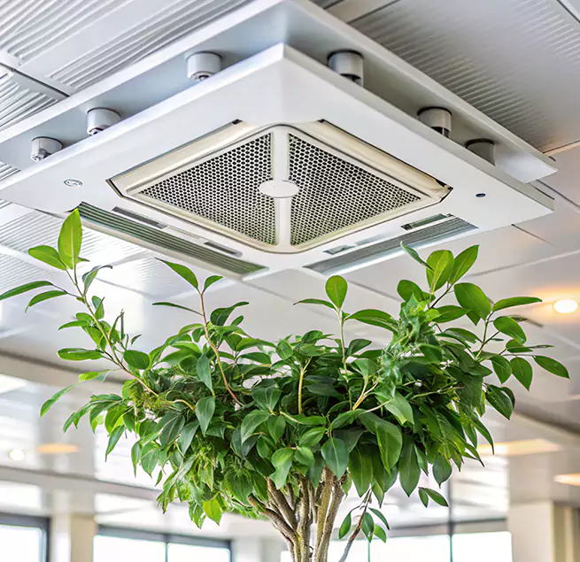 Why Homeowners & Businesses Trust Us in Smithtown, NY?